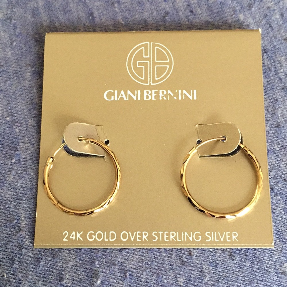 Hoop earrings.   Never worn